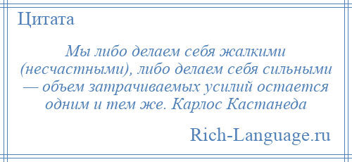 
    Мы либо делаем себя жалкими (несчастными), либо делаем себя сильными — объем затрачиваемых усилий остается одним и тем же. Карлос Кастанеда