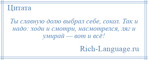 
    Ты славную долю выбрал себе, сокол. Так и надо: ходи и смотри, насмотрелся, ляг и умирай — вот и всё!
