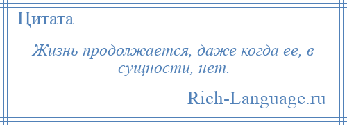 
    Жизнь продолжается, даже когда ее, в сущности, нет.