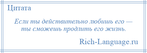 
    Если ты действительно любишь его — ты сможешь продлить его жизнь.