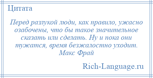 
    Перед разлукой люди, как правило, ужасно озабочены, что бы такое значительное сказать или сделать. Ну и пока они тужатся, время безжалостно уходит. Макс Фрай