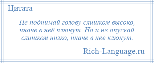 
    Не поднимай голову слишком высоко, иначе в неё плюнут. Но и не опускай слишком низко, иначе в неё клюнут.