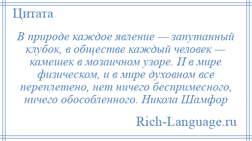 
    В природе каждое явление — запутанный клубок, в обществе каждый человек — камешек в мозаичном узоре. И в мире физическом, и в мире духовном все переплетено, нет ничего беспримесного, ничего обособленного. Никола Шамфор
