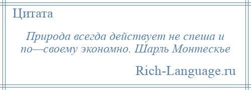 
    Природа всегда действует не спеша и по—своему экономно. Шарль Монтескье