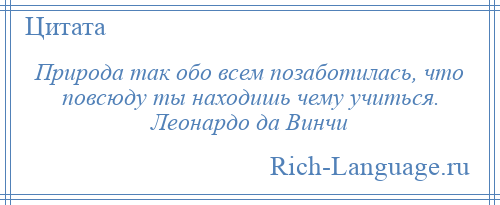 
    Природа так обо всем позаботилась, что повсюду ты находишь чему учиться. Леонардо да Винчи