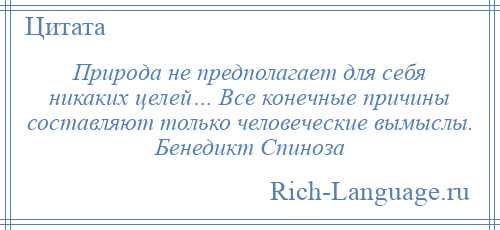 
    Природа не предполагает для себя никаких целей… Все конечные причины составляют только человеческие вымыслы. Бенедикт Спиноза