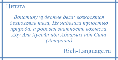 
    Воистину чудесные дела: возносятся безмозглые тела, Их наделила тупостью природа, а родовая знатность вознесла. Абу Али Хусейн ибн Абдаллах ибн Сина (Авиценна)