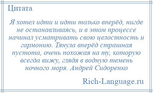
    Я хотел идти и идти только вперёд, нигде не останавливаясь, и в этом процессе начинал усматривать свою целостность и гармонию. Тянула вперёд страшная пустота, очень похожая на ту, которую всегда вижу, глядя в водную темень ночного моря. Андрей Сидоренко