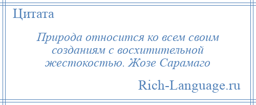 
    Природа относится ко всем своим созданиям с восхитительной жестокостью. Жозе Сарамаго