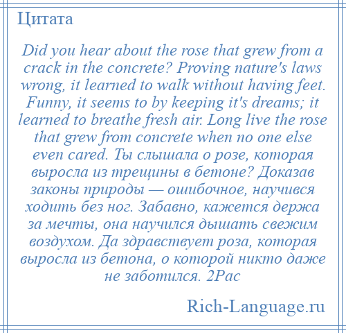 
    Did you hear about the rose that grew from a crack in the concrete? Proving nature's laws wrong, it learned to walk without having feet. Funny, it seems to by keeping it's dreams; it learned to breathe fresh air. Long live the rose that grew from concrete when no one else even cared. Ты слышала о розе, которая выросла из трещины в бетоне? Доказав законы природы — ошибочное, научився ходить без ног. Забавно, кажется держа за мечты, она научился дышать свежим воздухом. Да здравствует роза, которая выросла из бетона, о которой никто даже не заботился. 2Pac