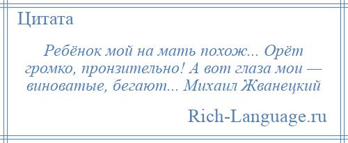 
    Ребёнок мой на мать похож... Орёт громко, пронзительно! А вот глаза мои — виноватые, бегают... Михаил Жванецкий