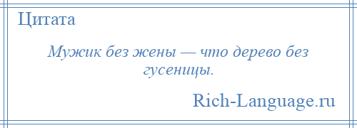 
    Мужик без жены — что дерево без гусеницы.