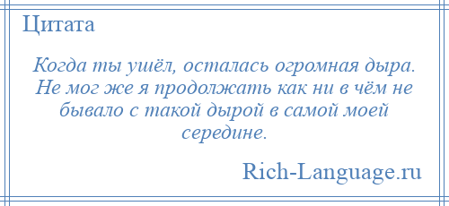 
    Когда ты ушёл, осталась огромная дыра. Не мог же я продолжать как ни в чём не бывало с такой дырой в самой моей середине.