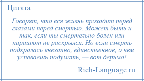 
    Говорят, что вся жизнь проходит перед глазами перед смертью. Может быть и так, если ты смертельно болен или парашют не раскрылся. Но если смерть подкралась внезапно, единственное, о чем успеваешь подумать, — вот дерьмо!