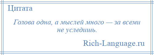 
    Голова одна, а мыслей много — за всеми не уследишь.