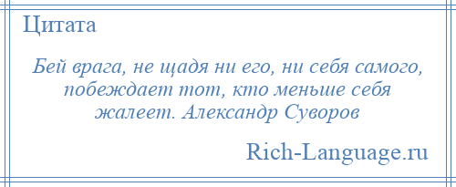 
    Бей врага, не щадя ни его, ни себя самого, побеждает тот, кто меньше себя жалеет. Александр Суворов