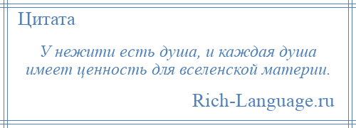 
    У нежити есть душа, и каждая душа имеет ценность для вселенской материи.