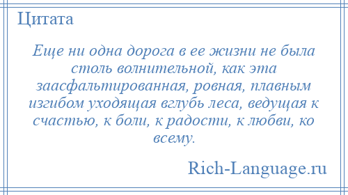 
    Еще ни одна дорога в ее жизни не была столь волнительной, как эта заасфальтированная, ровная, плавным изгибом уходящая вглубь леса, ведущая к счастью, к боли, к радости, к любви, ко всему.