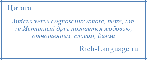 
    Amicus verus cognoscitur amore, more, ore, re Истинный друг познается любовью, отношением, словом, делом