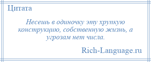 
    Несешь в одиночку эту хрупкую конструкцию, собственную жизнь, а угрозам нет числа.