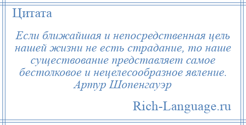
    Если ближайшая и непосредственная цель нашей жизни не есть страдание, то наше существование представляет самое бестолковое и нецелесообразное явление. Артур Шопенгауэр