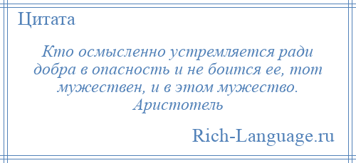 
    Кто осмысленно устремляется ради добра в опасность и не боится ее, тот мужествен, и в этом мужество. Аристотель