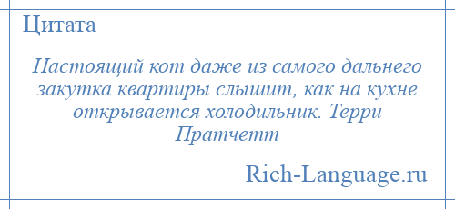 
    Настоящий кот даже из самого дальнего закутка квартиры слышит, как на кухне открывается холодильник. Терри Пратчетт