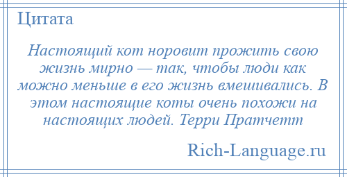 
    Настоящий кот норовит прожить свою жизнь мирно — так, чтобы люди как можно меньше в его жизнь вмешивались. В этом настоящие коты очень похожи на настоящих людей. Терри Пратчетт