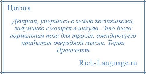 
    Детрит, упершись в землю костяшками, задумчиво смотрел в никуда. Это была нормальная поза для тролля, ожидающего прибытия очередной мысли. Терри Пратчетт