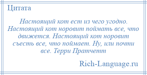
    Настоящий кот ест из чего угодно. Настоящий кот норовит поймать все, что движется. Настоящий кот норовит съесть все, что поймает. Ну, или почти все. Терри Пратчетт
