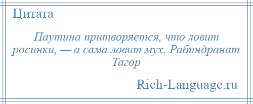 
    Паутина притворяется, что ловит росинки, — а сама ловит мух. Рабиндранат Тагор