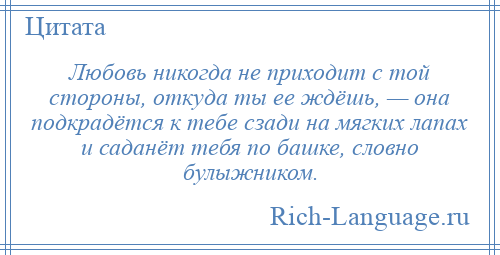 
    Любовь никогда не приходит с той стороны, откуда ты ее ждёшь, — она подкрадётся к тебе сзади на мягких лапах и саданёт тебя по башке, словно булыжником.