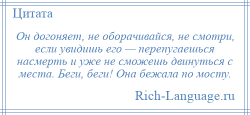 
    Он догоняет, не оборачивайся, не смотри, если увидишь его — перепугаешься насмерть и уже не сможешь двинуться с места. Беги, беги! Она бежала по мосту.