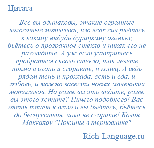 
    Все вы одинаковы, этакие огромные волосатые мотыльки, изо всех сил рвётесь к какому нибудь дурацкому огоньку, бьётесь о прозрачное стекло и никак его не разглядите. А уж если ухитритесь пробраться сквозь стекло, так лезете прямо в огонь и сгораете, и конец. А ведь рядом тень и прохлада, есть и еда, и любовь, и можно завести новых маленьких мотыльков. Но разве вы это видите, разве вы этого хотите? Ничего подобного! Вас опять тянет к огню и вы бьётесь, бьётесь до бесчувствия, пока не сгорите! Колин Маккалоу Поющие в терновнике 