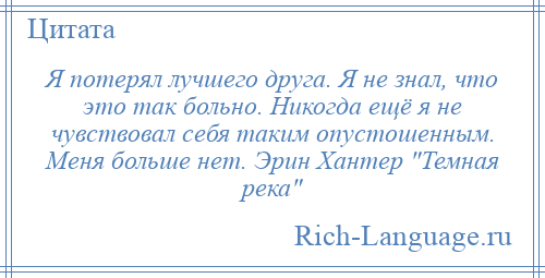 
    Я потерял лучшего друга. Я не знал, что это так больно. Никогда ещё я не чувствовал себя таким опустошенным. Меня больше нет. Эрин Хантер Темная река 