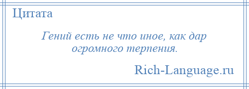 
    Гений есть не что иное, как дар огромного терпения.