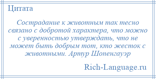 
    Сострадание к животным так тесно связано с добротой характера, что можно с уверенностью утверждать, что не может быть добрым тот, кто жесток с животными. Артур Шопенгауэр