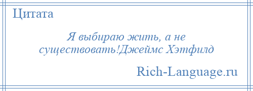 
    Я выбираю жить, а не существовать!Джеймс Хэтфилд