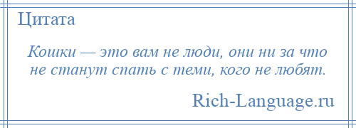 
    Кошки — это вам не люди, они ни за что не станут спать с теми, кого не любят.