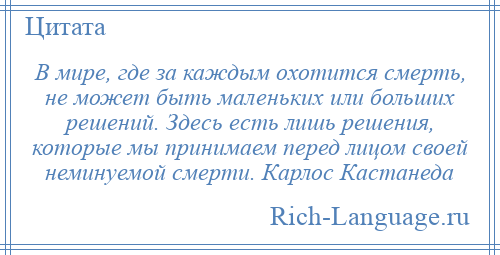 
    В мире, где за каждым охотится смерть, не может быть маленьких или больших решений. Здесь есть лишь решения, которые мы принимаем перед лицом своей неминуемой смерти. Карлос Кастанеда