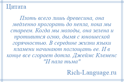 
    Плоть всего лишь древесина, она медленно прогорать до пепла, пока мы стареем. Когда мы молоды, она зелена и противится огню, дымя с юношеской горячностью. В середине жизни языки пламени начинают поглощать ее. И в конце все сгорает дотла. Джеймс Клеменс И пала тьма 