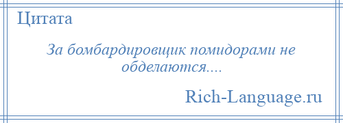 
    За бомбардировщик помидорами не обделаются....