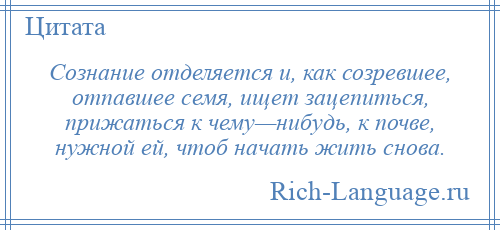 
    Сознание отделяется и, как созревшее, отпавшее семя, ищет зацепиться, прижаться к чему—нибудь, к почве, нужной ей, чтоб начать жить снова.