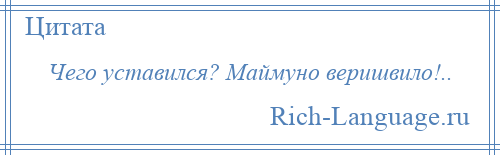 
    Чего уставился? Маймуно веришвило!..