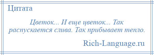 
    Цветок... И еще цветок... Так распускается слива. Так прибывает тепло.