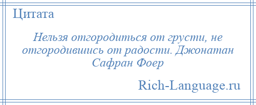 
    Нельзя отгородиться от грусти, не отгородившись от радости. Джонатан Сафран Фоер