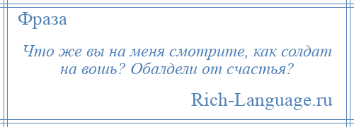 
    Что же вы на меня смотрите, как солдат на вошь? Обалдели от счастья?