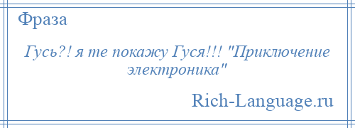 
    Гусь?! я те покажу Гуся!!! Приключение электроника 