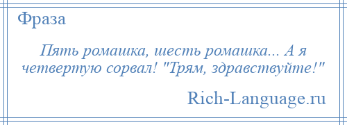 
    Пять ромашка, шесть ромашка... А я четвертую сорвал! Трям, здравствуйте! 