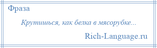 
    Крутишься, как белка в мясорубке...